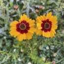 지락빌딩 앞 이미지