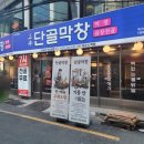 부산막창 - 수성구 동대구로20길 65 | 잡내 없이 고소한 부산 막창 맛집 단골막창 서면점 후기