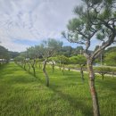 산새목장 | 안성 수목장 후기, 직접 방문해 보니 달랐던 점