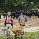 골몰농장 이미지