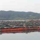 주식회사 가두리 이미지