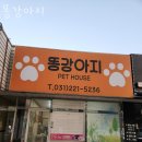 똥강아지 애견 이미지