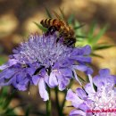 풍경(오월의 이야기 이미지