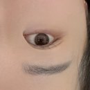 데이브로우