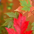 영광기업 이미지