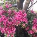 누리마당민박 이미지