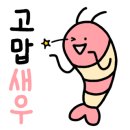 주문진항20 이미지