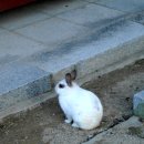 진신농장 이미지