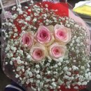 부영화원 이미지