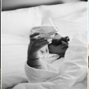 이상한 식물나라 이미지