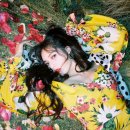 문내부인 네이버블로그