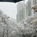 2년만에 2학년되기