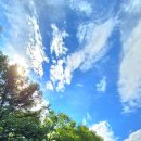 용연동굴 이미지