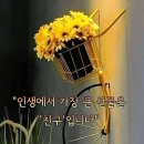 순리(順理) 대로 살아갑시다 이미지