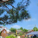 바람솔길펜션 | 논산훈련소펜션 솔길펜션 이용하며 즐거운 일상 보냈어요