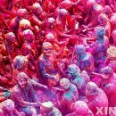 홀리허브 이미지