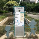 일본 후쿠오카 4박 5일 여행일정 들어갈께욤 ( 후쿠오카 힐튼 씨호크 호텔 스위트룸 비교 )~~