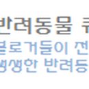 백호마미 이미지
