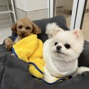 캄힐스위트 이미지