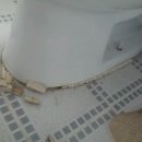 대백크리닝 이미지