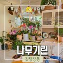 [용인/처인구] 김량장동 플라워카페 &#39;나무기린&#39; 내돈내산 솔직후기