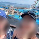 디오션크루즈 이미지