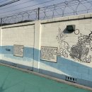 내린천 자연세상 이미지