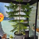 홍이 돼지국밥 이미지