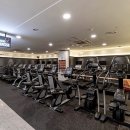 더 나인 PT 이미지