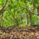 무궁화공원 공중화장실(공원) 이미지