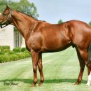 형제파크 이미지