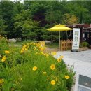 신북한우단지 | 포천 백운계곡 근처 가볼만한 14곳