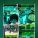 연정이네 식당 이미지