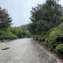 보개원삼로 | 용인 단풍숲캠핑장 악어 9번 사이트 후기｜프라이빗한 캠핑을 원한다면 여기!