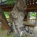 화순온천 이미지