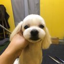 온블리살롱 이미지