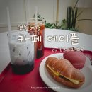 [영월여행] 카페 에이플에는 사과🍎처럼 생긴 사과빵이 있다던데..?