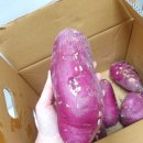 경일농장 네이버블로그