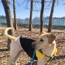 용서농장 이미지