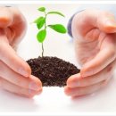 호성한의원 이미지