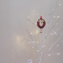 수원-0264 이미지