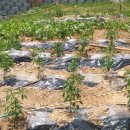 왕자와공주어린이집 이미지