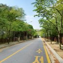 상하동다목적구장 이미지