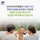 24시 코끼리동물의료센터 이미지