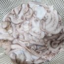 만성식당 이미지