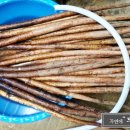 자연애민박 이미지