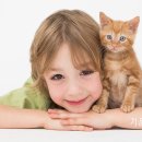 기운찬 동물병원 이미지