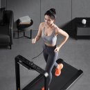 긍정킹마켓 | 10만원대 워킹패드 샀다 당근하고 '킹스미스 접이식 런닝머신 X21'로 갈아탄 이유