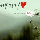 세모네모동그라미 이미지