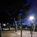 노은동로(유성-60) | 다녀왔어요. 도심에서 만나는 숲, 대전 유성구 가볼만한 곳, 유성구명소, 은구비도시숲 지족동공원...